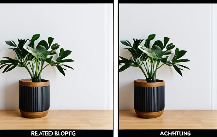 Here are two image prompts based on your text: